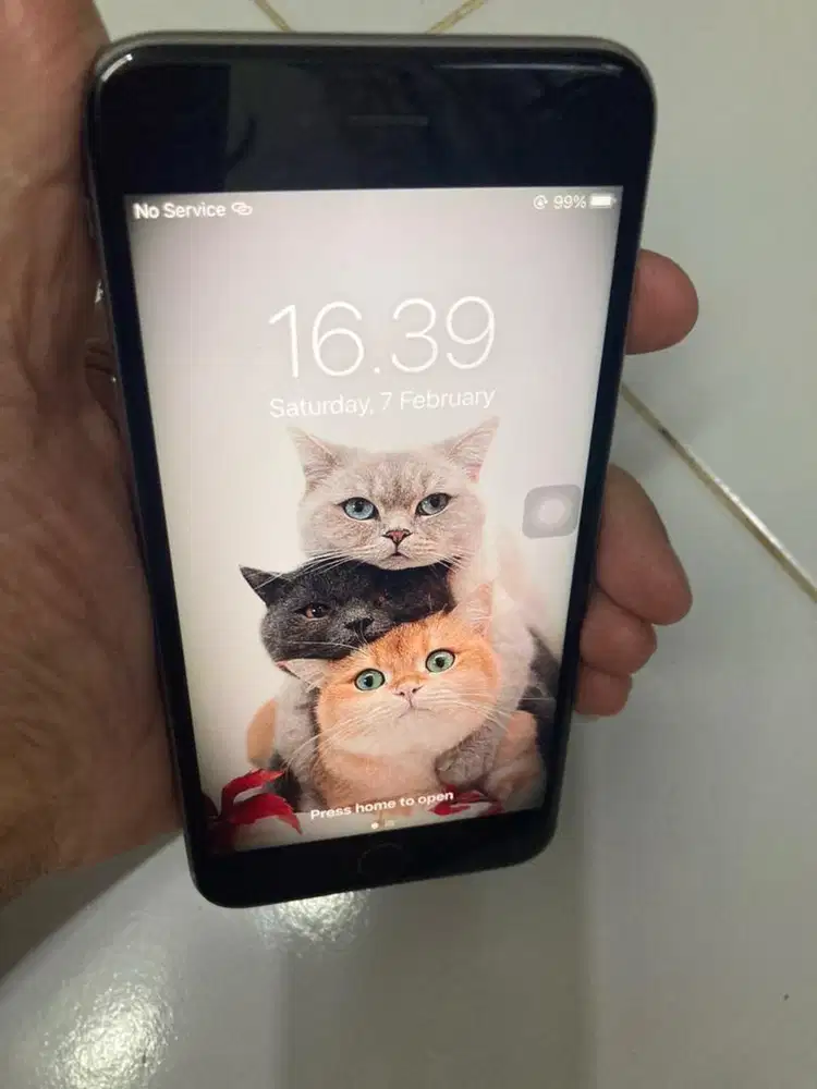 iPhone 6S, 32GB, Wifi Onlu