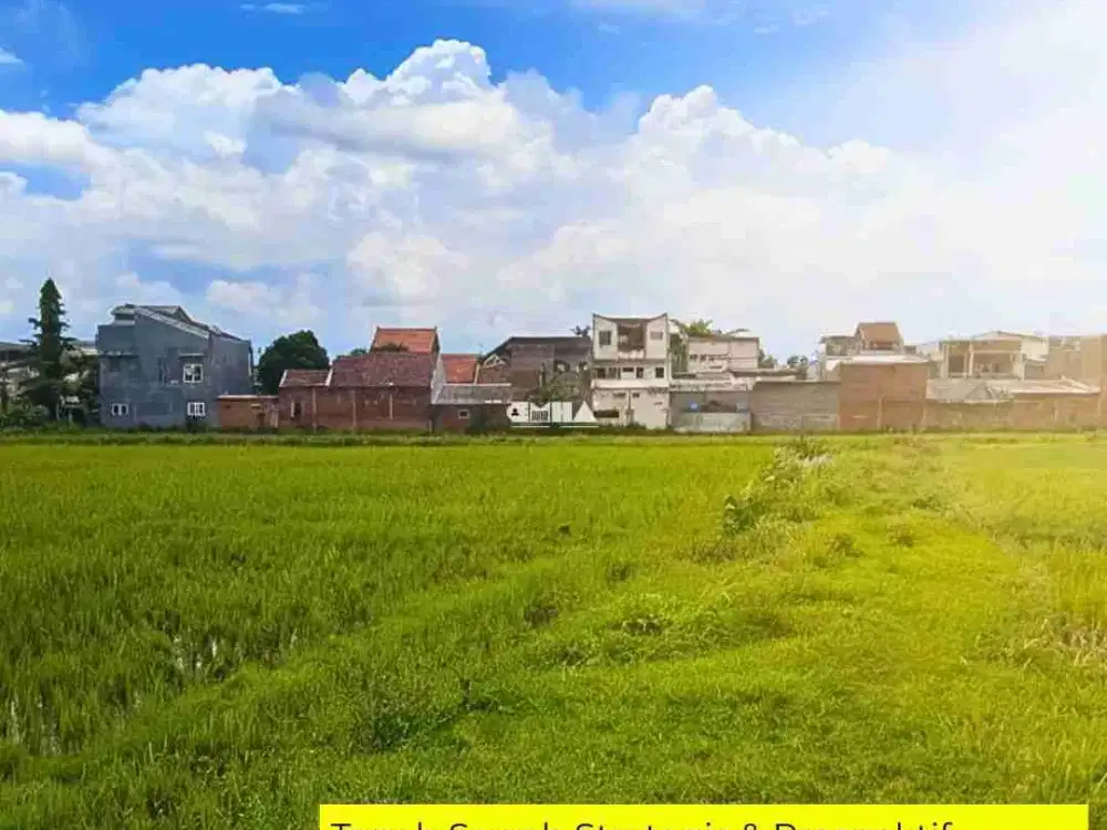 Dijual Tanah Sawah Status Lahan Kuning Area Sawojajar Malang