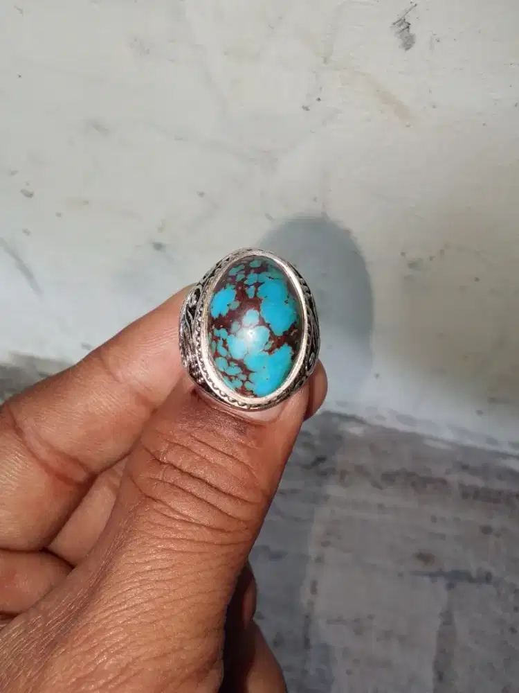 Pirus Persia biru fancy