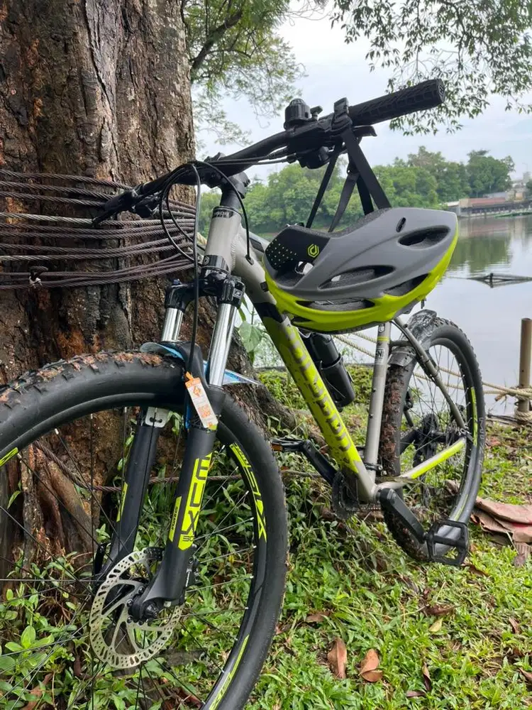 Sepeda Polygon Premier 5 (2023) like new