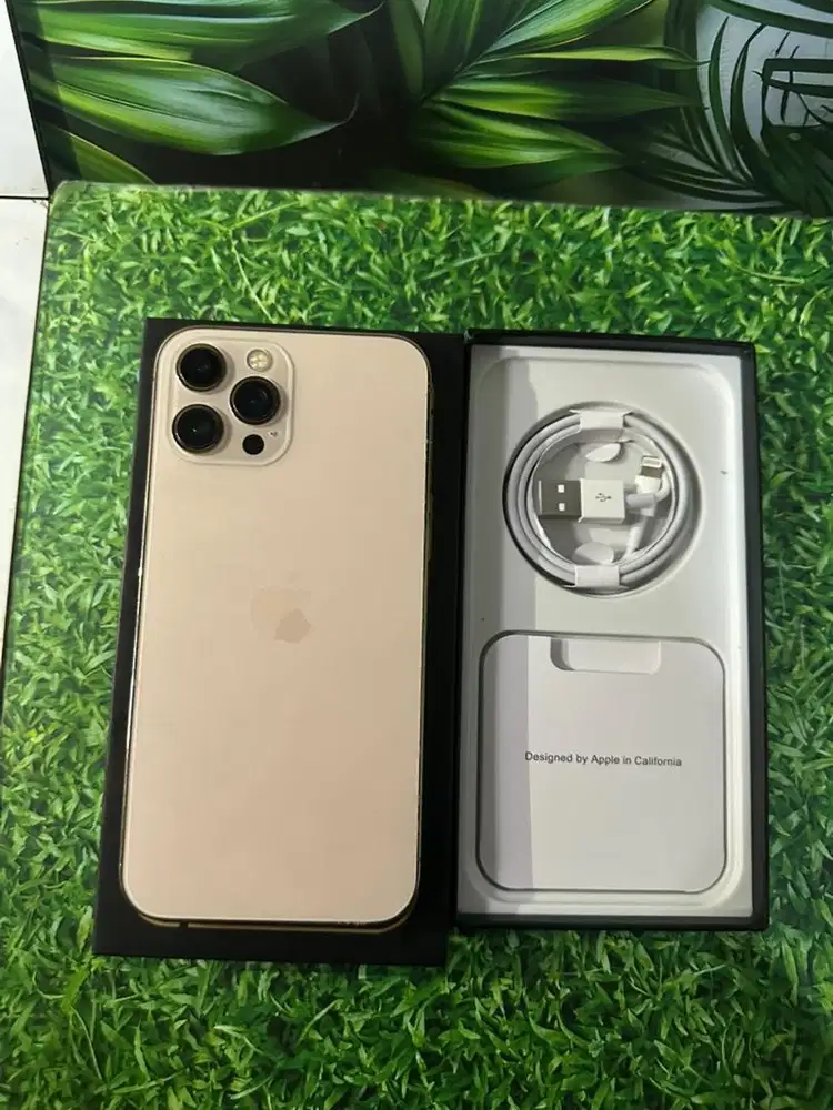 IPHONE 12 PROMAX 128 GB