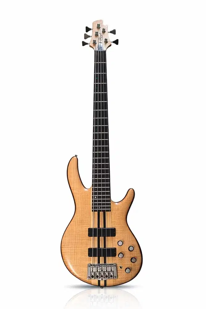Cort Artisan A5 Plus FMMH (5 string)