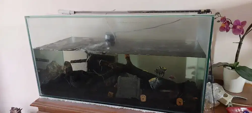 Aquarium bekas aquascape