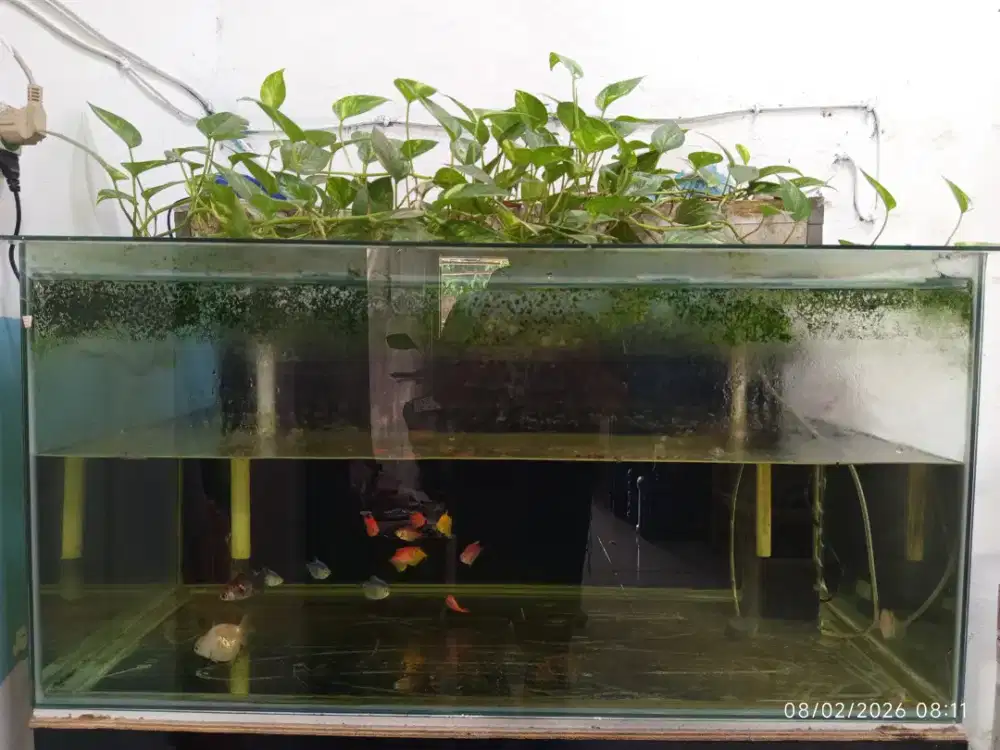 Aquarium satu sett lengkap