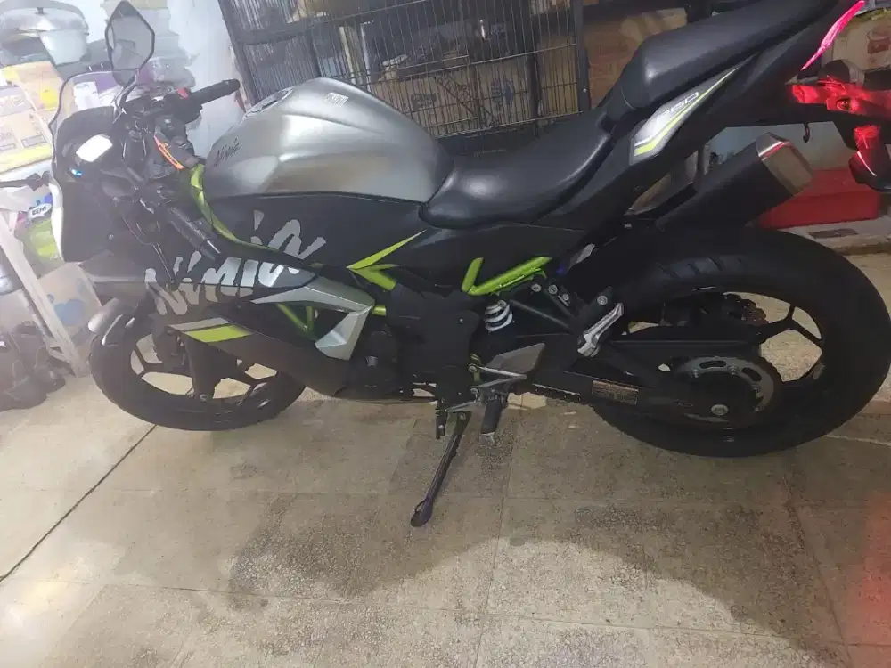 Kawasaki ninja 250