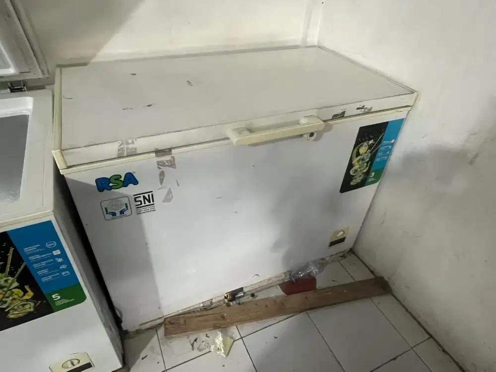 Freezer RSA CF-310