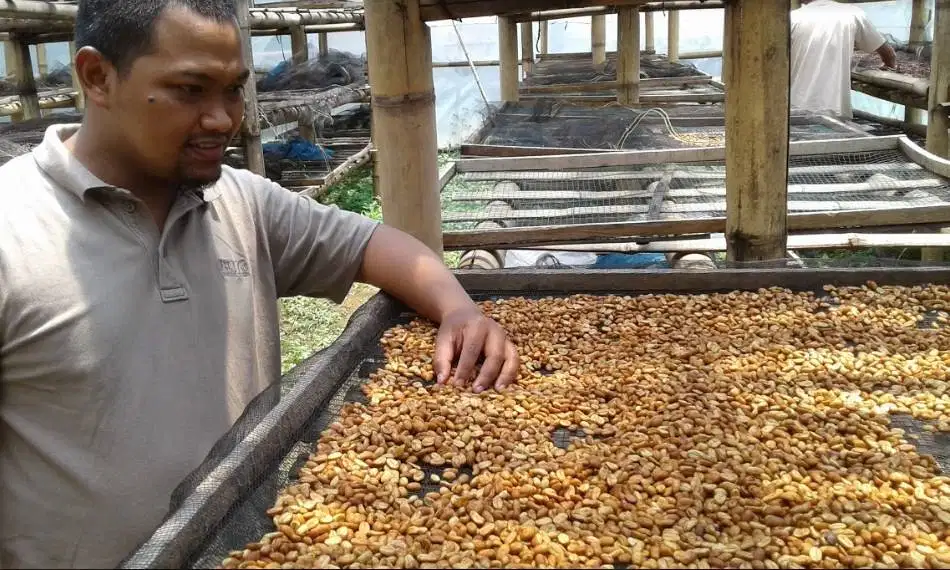 Supplier Kopi Robusta dan Arabika Priangan (Roasted Bean)