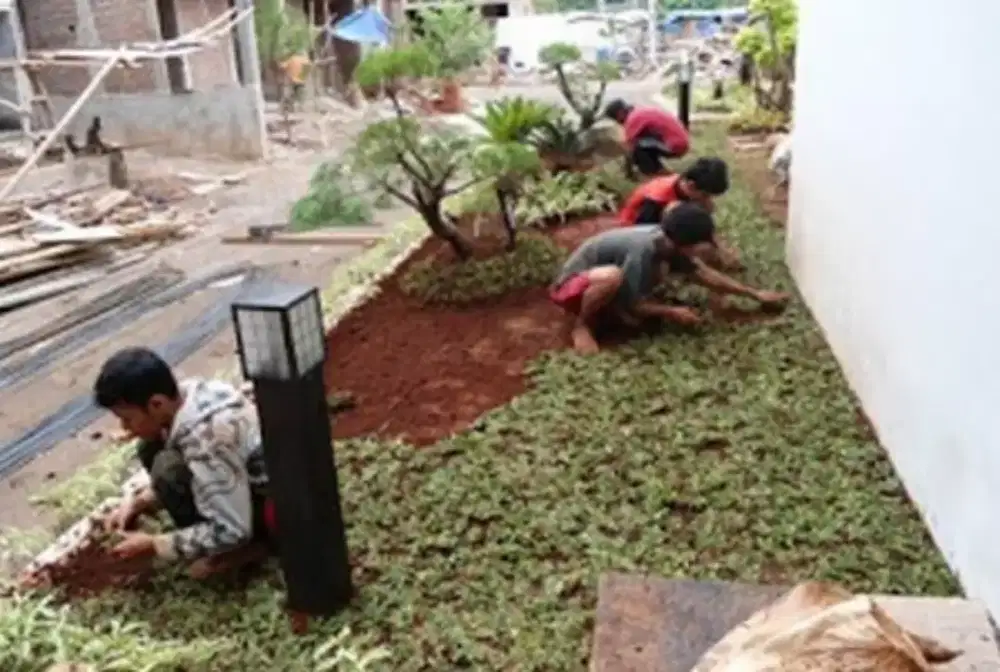 Jasa pembuatan taman & kolam