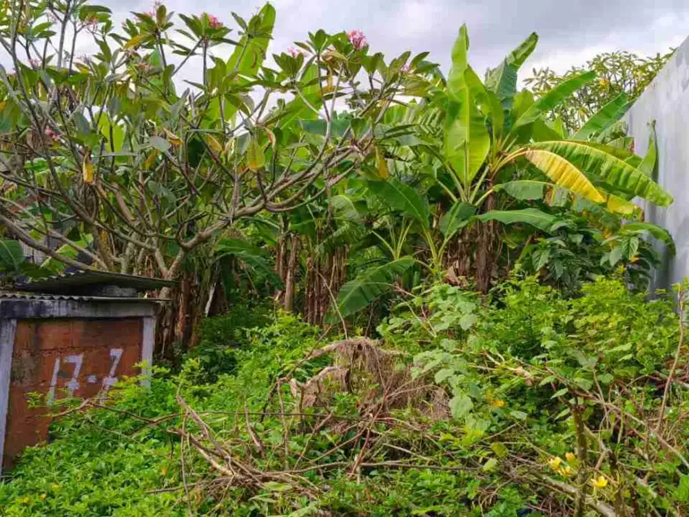 DIKONTRAKAN LAHAN SEMINYAK