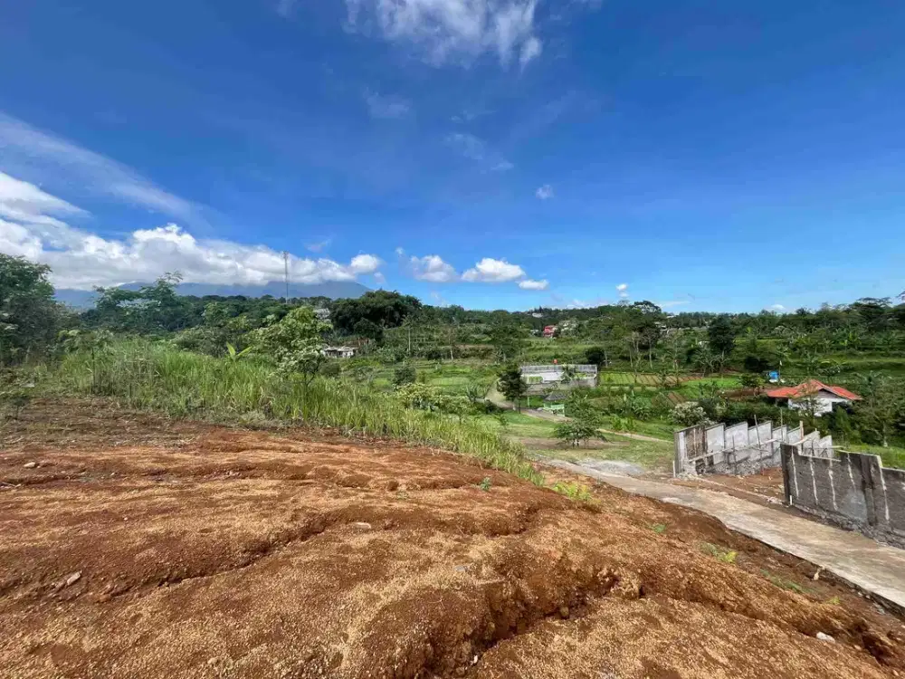 Tanah Cocok Untuk Villa Dan Homestay Dipuncak SHM