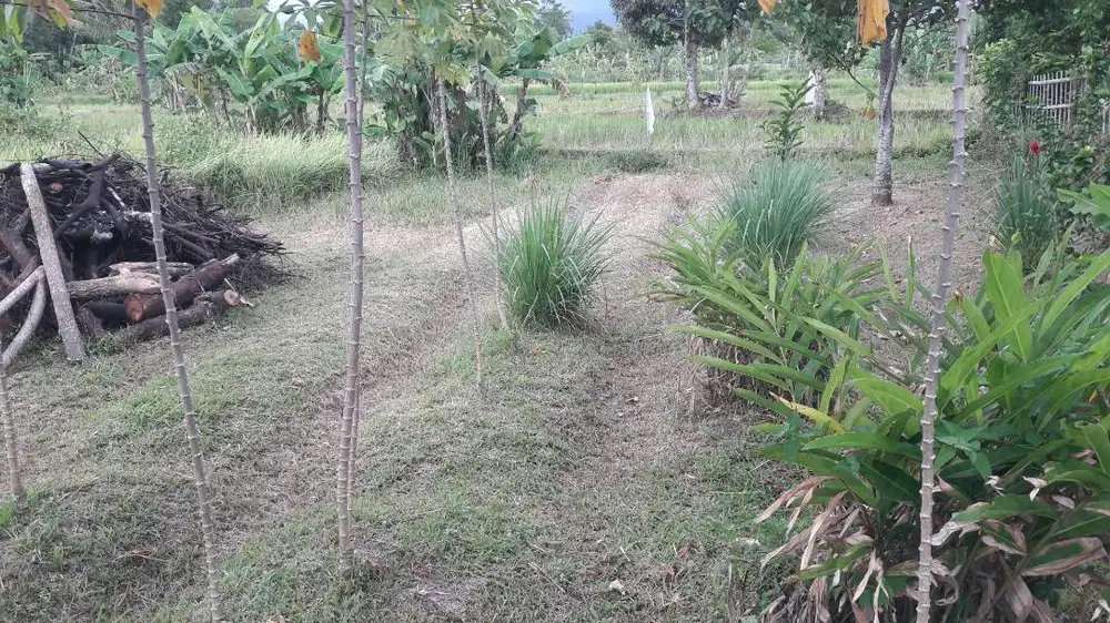 Dijual tanah strategis pinggir jalan TANPA PERANTARA