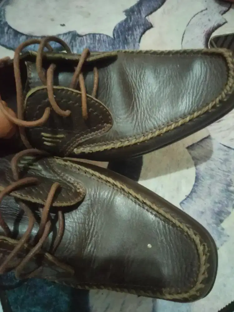 Sepatu Crocodile uk40