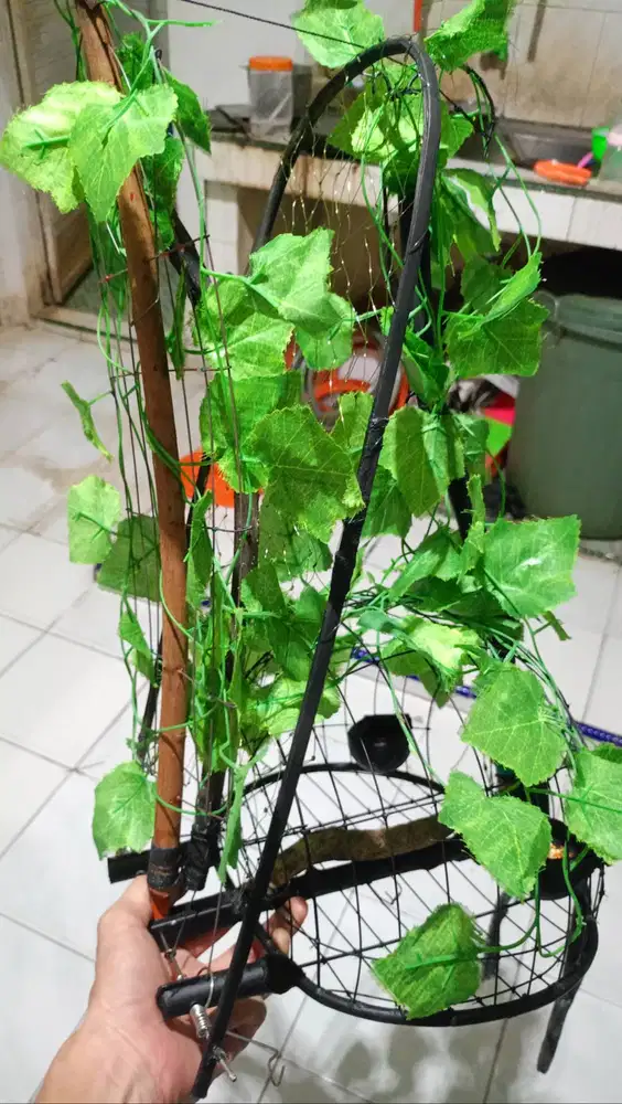 Jebak merbuk sudah ada daun kamuflase