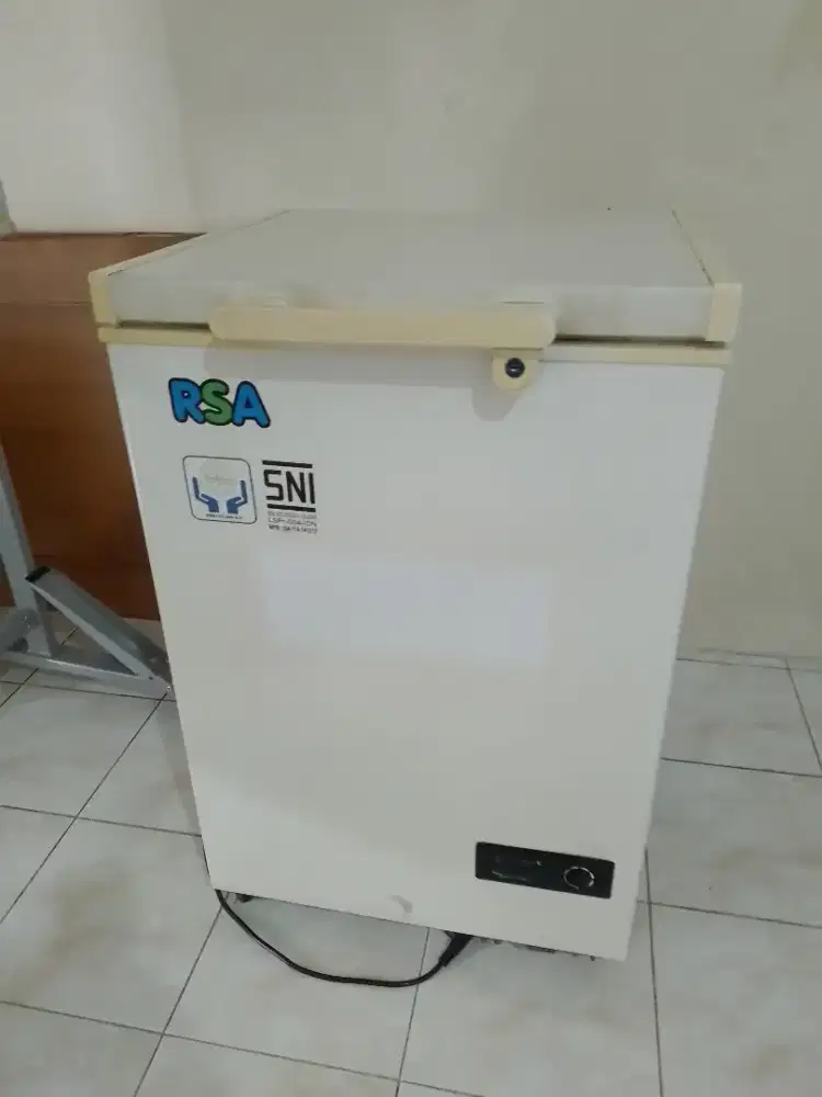 Freezer RSA 100 Liter