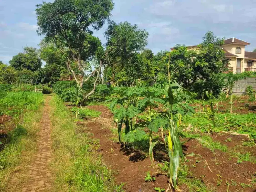 Dijual Tanah di Mertilang Bintaro Sektor 9