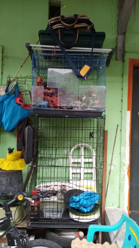 Dijual kandang kucing