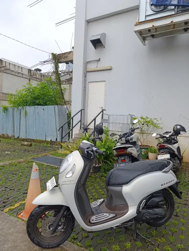 Honda scoopy tahun 2023