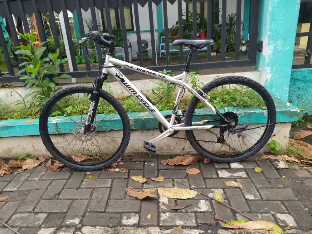 Miliki Sepeda Wim Cycle Diamonte XT, Siap Gowes