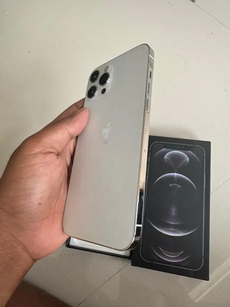 Iphone 12 promax 256 termurah