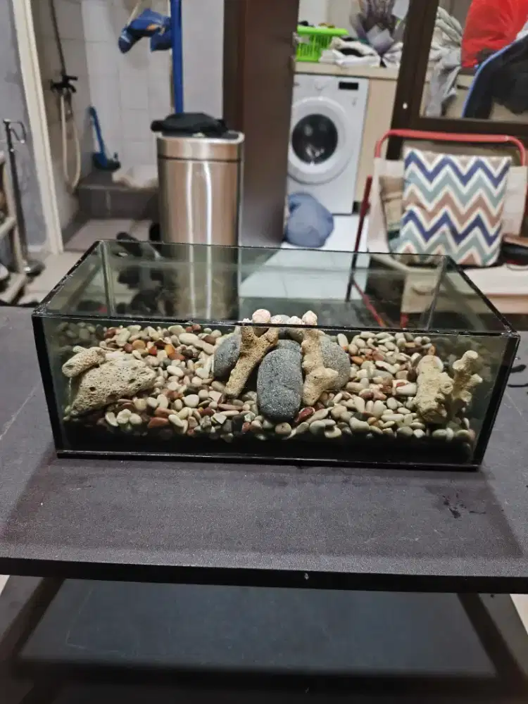 AQUARIUM MINI LENGKAP PRELOVED