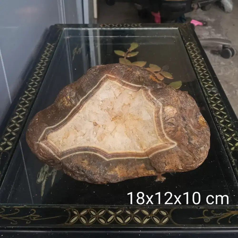 Suiseki batu motif Sulaiman kurung