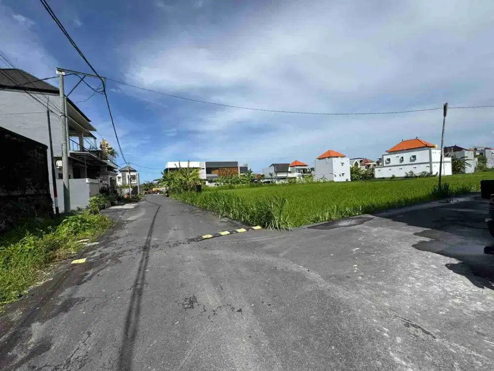 Tanah luas 1 are Jln sedap malam.gang popi