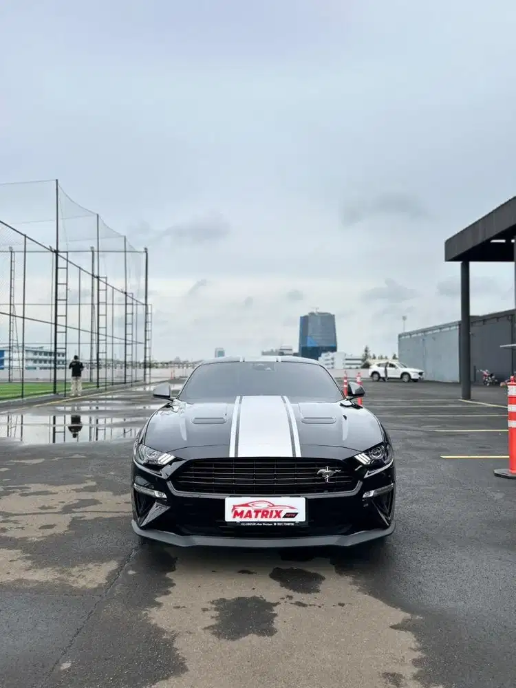 Ford Mustang 2.3 Facelift Performance! Mustang 2021 ! FORD MUSTANG!
