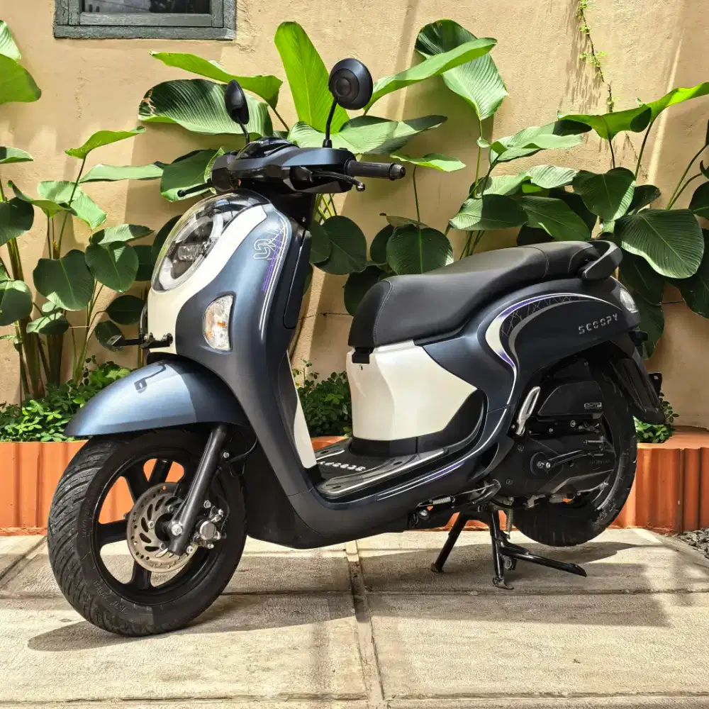 Scoopy fashion blue 2025