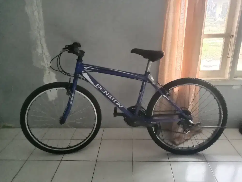 Jual sepeda senator dewasa
