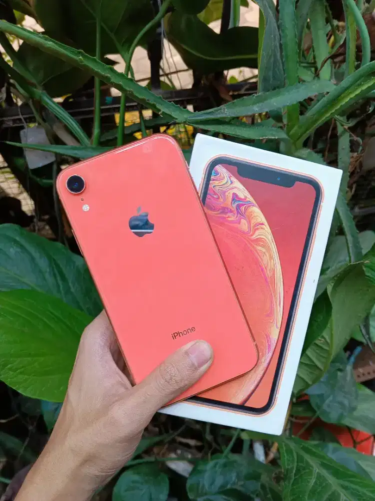 iPhone Xr 128 GB Beacukai