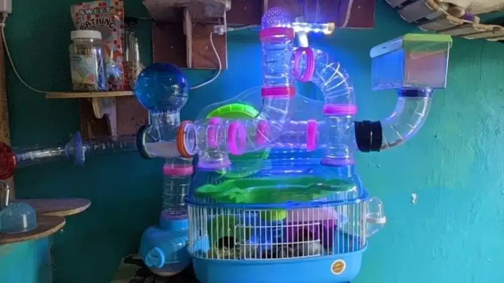 Rumah hamster dengan modif accesories