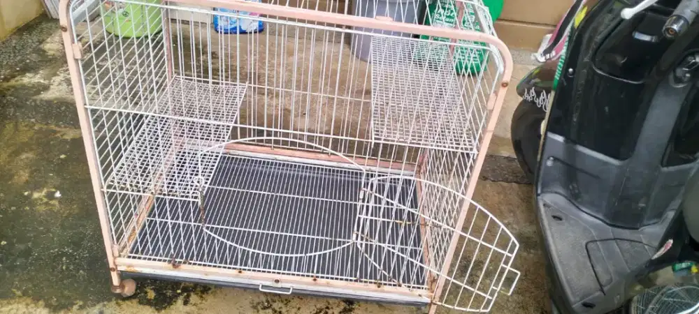 DIJUAL KANDANG KUCING