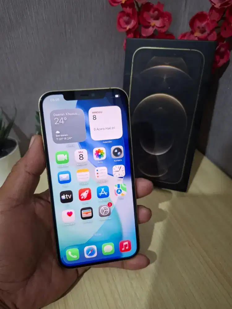 Iphone 12 Promax 256GB bisa TT
