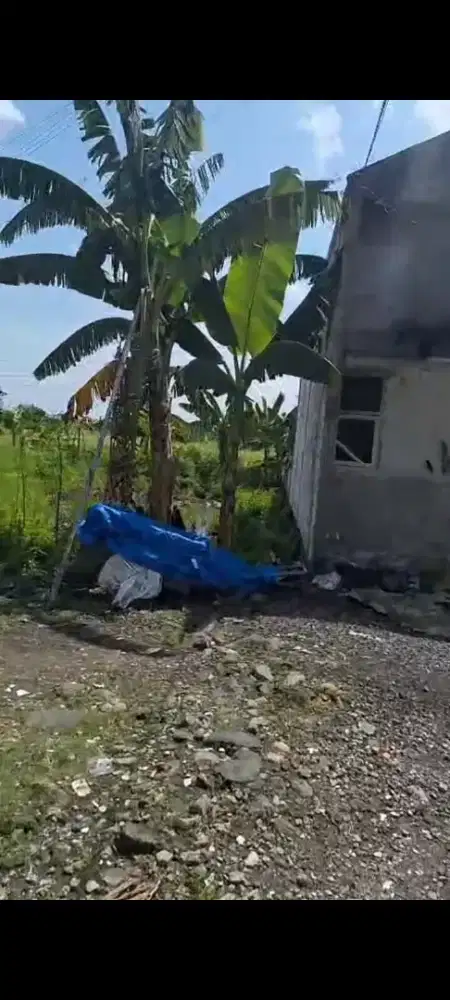 Di jual cepat tanah SHM di bendil jaya Gresik Jawa Timur