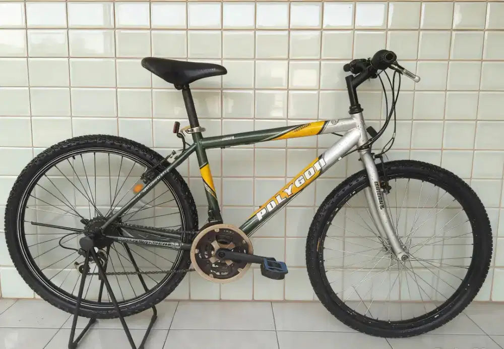 Sepeda gunung MTB polygon monarch