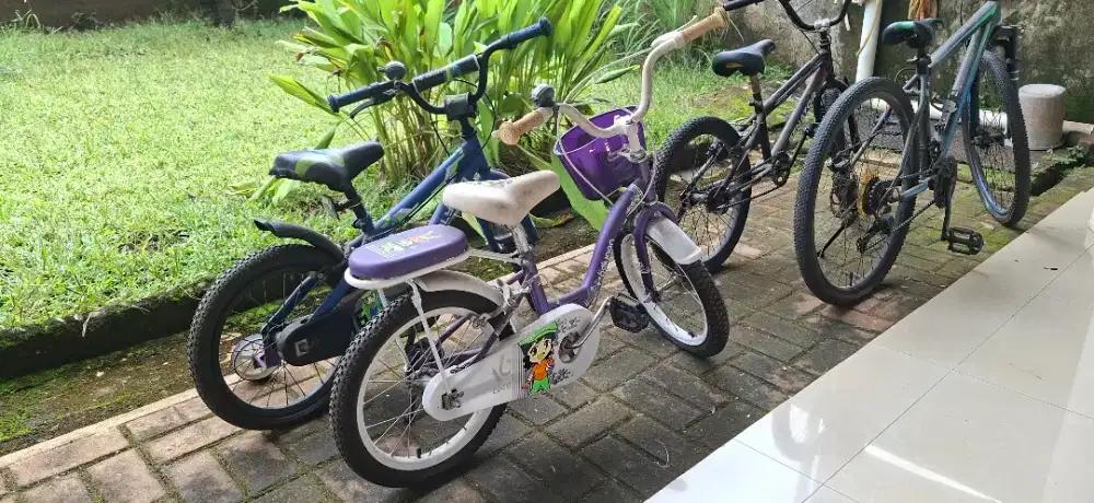 Sepeda Anak Polygon Alice 12 (Perempuan)