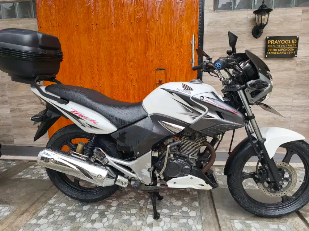 TIGER REVO ALIBINO PUTIH 2013