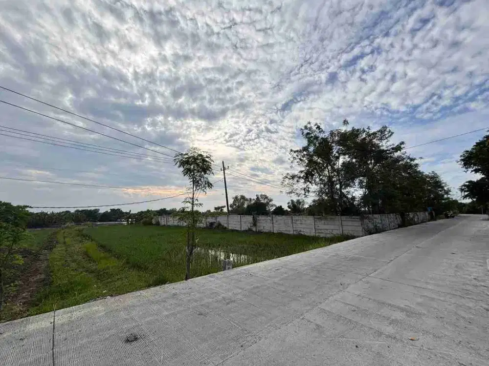 tanah dijual cepat dan siap untuk gudang dan pabrik di cerme Gresik dekat tol