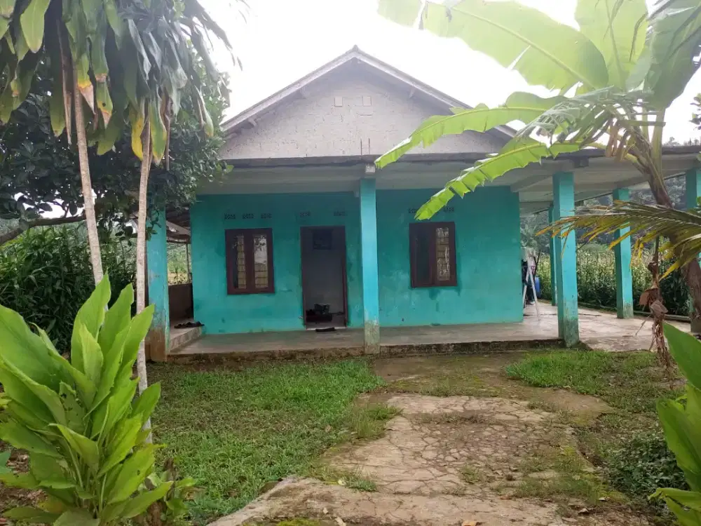 RUMAH & HALAMAN 300 M² + LAHAN KEBUN 700 M²