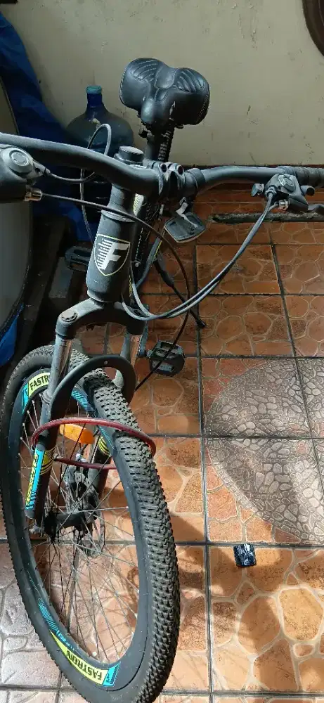 Fastron F-260 DX mountain bike