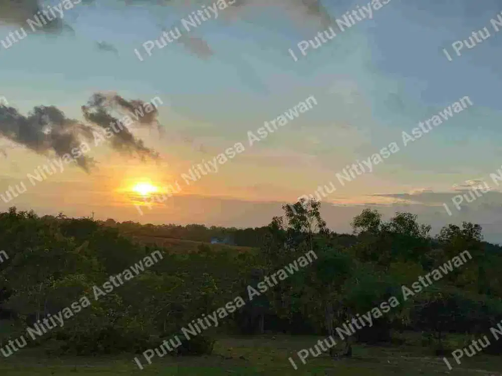 DIJUAL Tanah Pariwisata View Ocean & Sunset Unblocked di Cemongkak Pecatu – Zona Pink