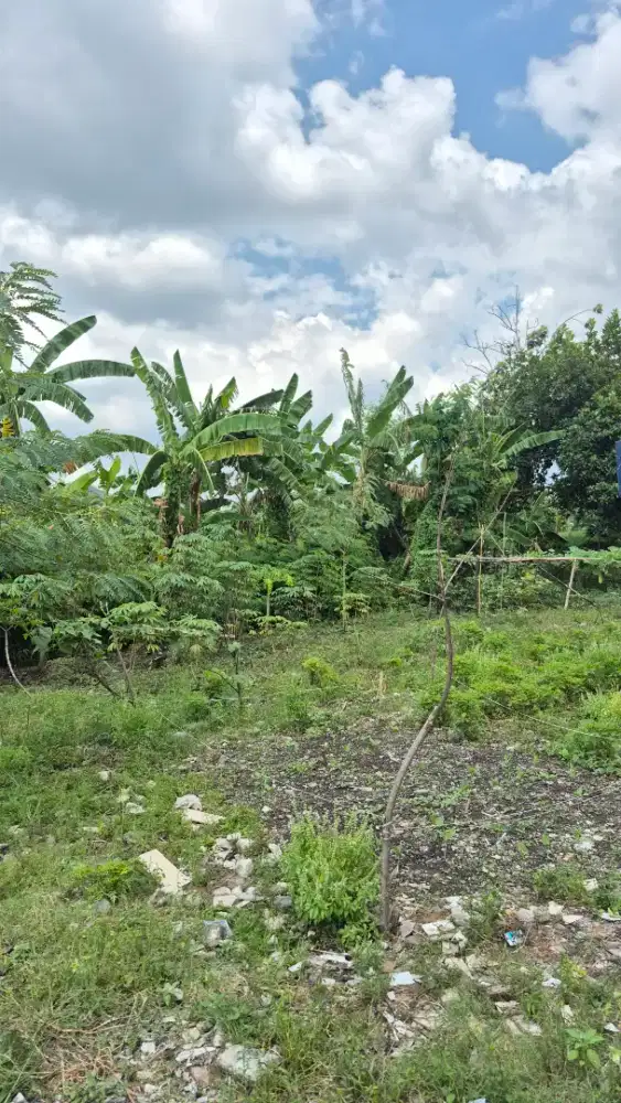 Dijual Tanah Kavling Mutiara Garden Sidomulyo Buduran