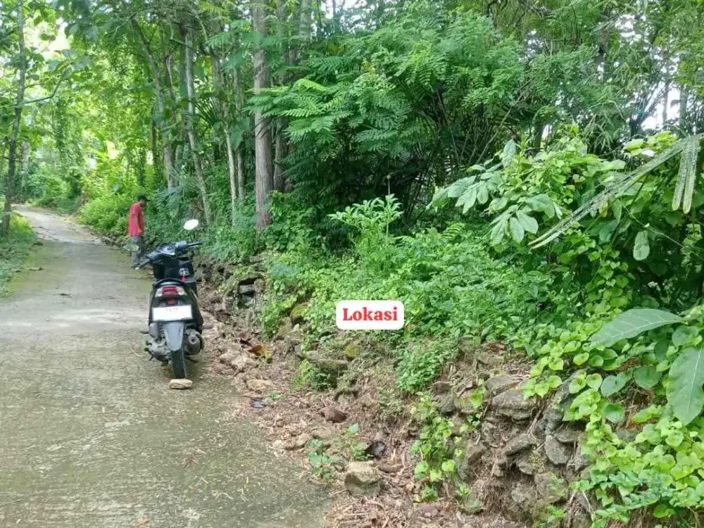 Dijual Tanah Luas Murah di Srikayangan Sentolo Kulonprogo