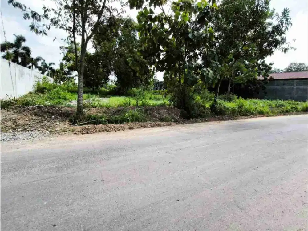 Jual Tanah Luas dekat Ringroad Mojosongo