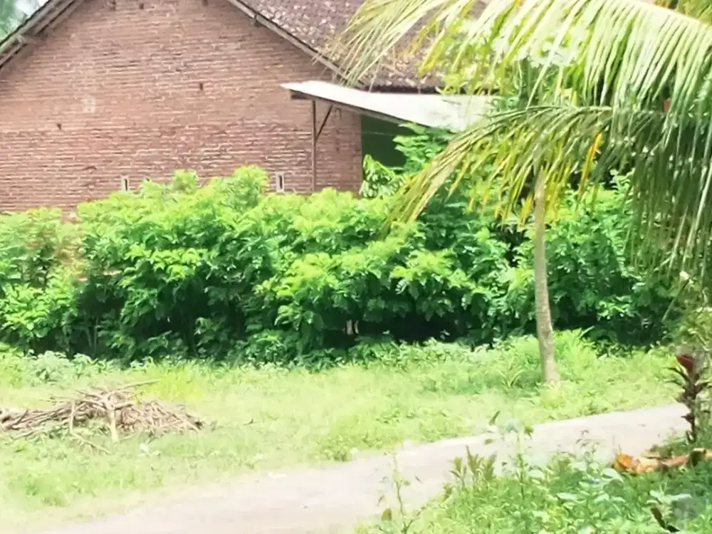 Tanah kapling dijual