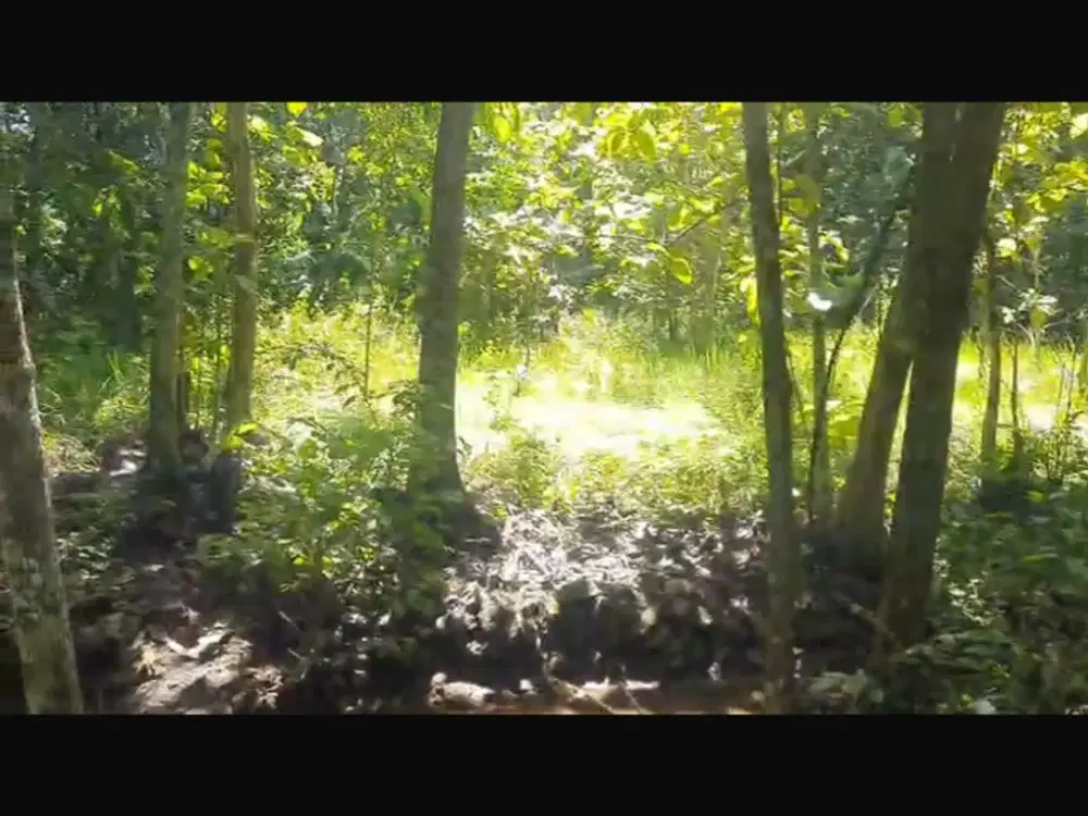 Dijual Tanah Murah Bagus Pinggir Jalan di Srikayangan Sentolo