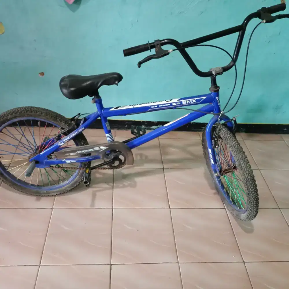 Sepeda anak BMX Evergreen