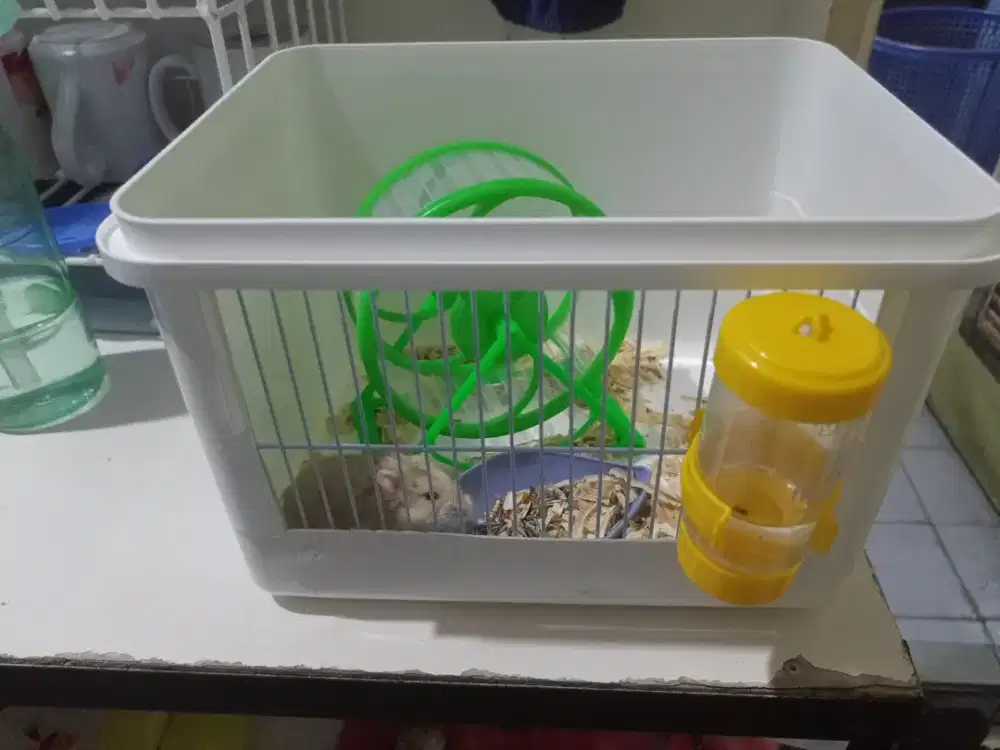 Kandang dan hamster