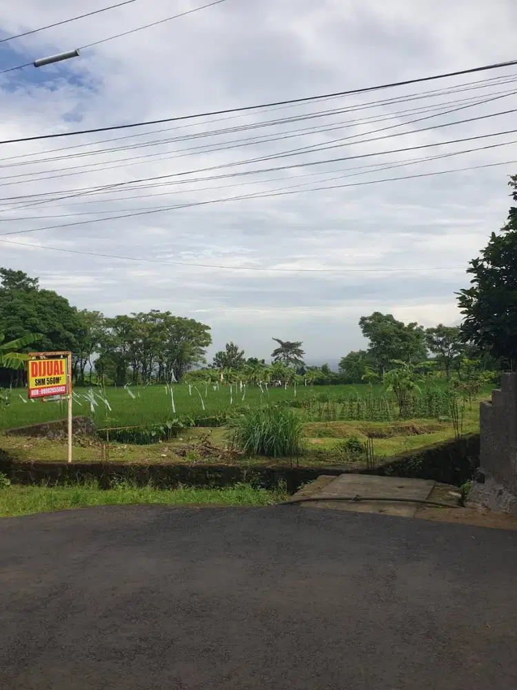 Dijual Tanah Kondangsari, Beber