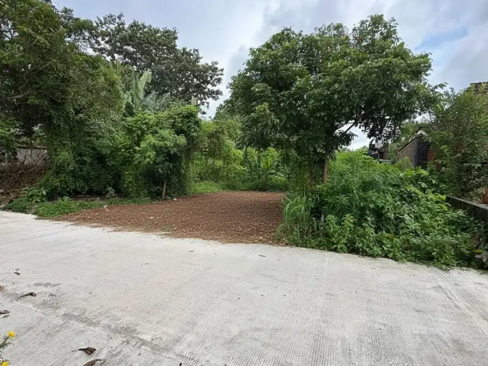 Tanah Investasi Sleman Dekat UII  Lingkungan Aman Nyaman